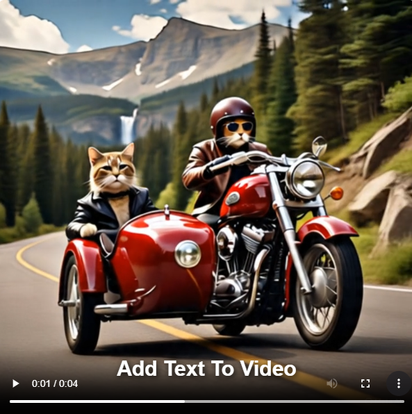 two-cats-motorcycle-sidecar